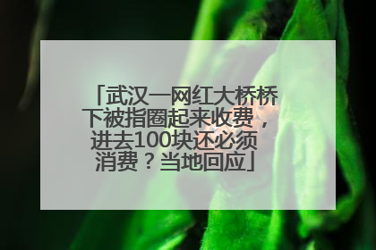 武汉一网红大桥桥下被指圈起来收费，进去100块还必须消费？当地回应
