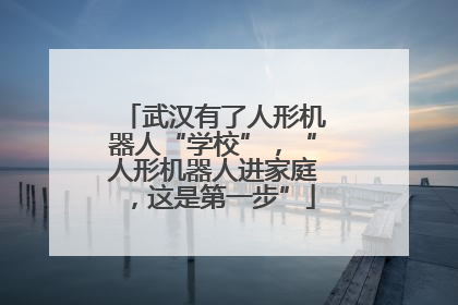 武汉有了人形机器人“学校”，“人形机器人进家庭，这是第一步”