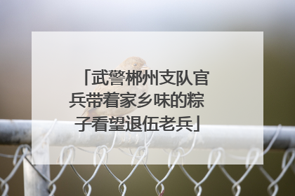 武警郴州支队官兵带着家乡味的粽子看望退伍老兵