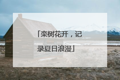 栾树花开，记录夏日浪漫