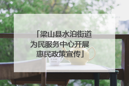 梁山县水泊街道为民服务中心开展惠民政策宣传