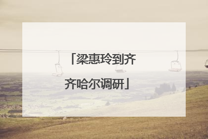 梁惠玲到齐齐哈尔调研