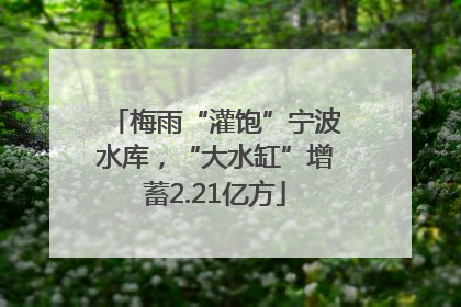 梅雨“灌饱”宁波水库，“大水缸”增蓄2.21亿方