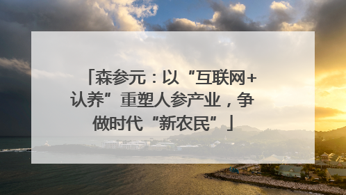 森参元：以“互联网+认养”重塑人参产业，争做时代“新农民”