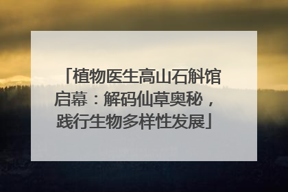 植物医生高山石斛馆启幕：解码仙草奥秘，践行生物多样性发展