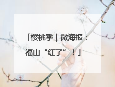 樱桃季｜微海报：福山“红了”！