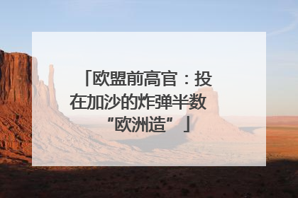 欧盟前高官：投在加沙的炸弹半数“欧洲造”