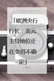 欧洲央行行长：美元主导地位正在变得不确定