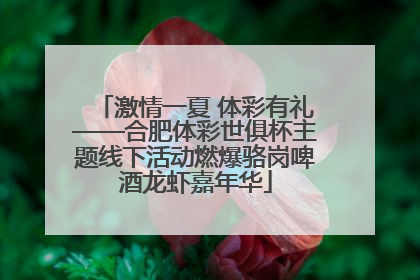 激情一夏 体彩有礼——合肥体彩世俱杯主题线下活动燃爆骆岗啤酒龙虾嘉年华
