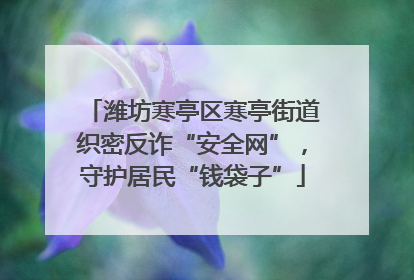 潍坊寒亭区寒亭街道织密反诈“安全网”，守护居民“钱袋子”