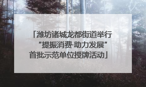 潍坊诸城龙都街道举行“提振消费·助力发展”首批示范单位授牌活动