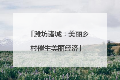 潍坊诸城：美丽乡村催生美丽经济