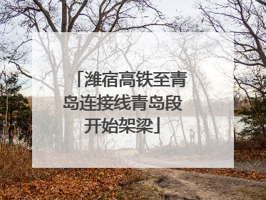 潍宿高铁至青岛连接线青岛段开始架梁