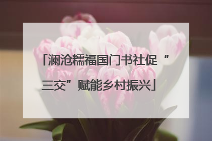 澜沧糯福国门书社促“三交”赋能乡村振兴