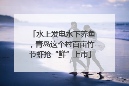 水上发电水下养鱼，青岛这个村百亩竹节虾抢“鲜”上市