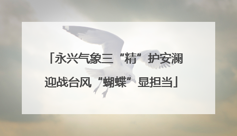 永兴气象三“精”护安澜 迎战台风“蝴蝶”显担当