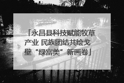 永昌县科技赋能牧草产业 民族团结共绘戈壁“绿富美”新画卷