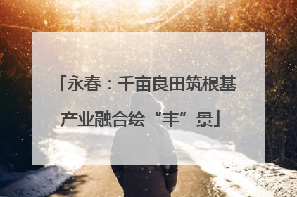 永春：千亩良田筑根基 产业融合绘“丰”景