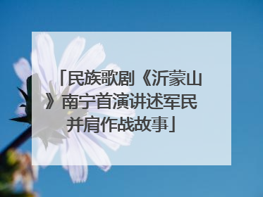 民族歌剧《沂蒙山》南宁首演讲述军民并肩作战故事