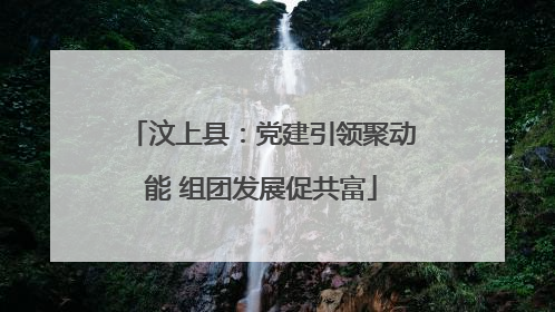 汶上县：党建引领聚动能 组团发展促共富