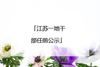 江苏一地干部任前公示