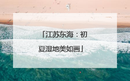 江苏东海：初夏湿地美如画