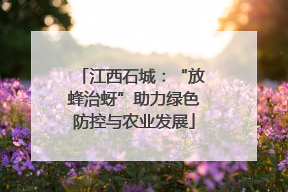 江西石城：“放蜂治蚜”助力绿色防控与农业发展