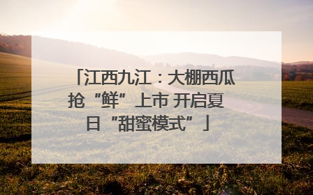 江西九江：大棚西瓜抢“鲜”上市 开启夏日“甜蜜模式”