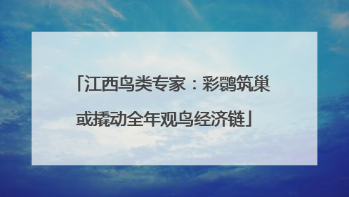江西鸟类专家：彩鹮筑巢或撬动全年观鸟经济链