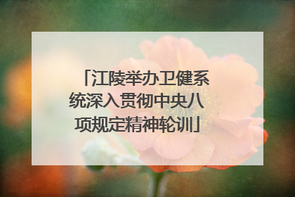 江陵举办卫健系统深入贯彻中央八项规定精神轮训