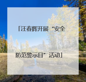 汪春辉开展“安全防范警示日”活动
