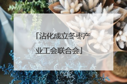 沾化成立冬枣产业工会联合会