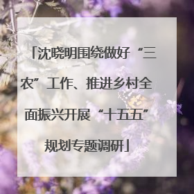沈晓明围绕做好“三农”工作、推进乡村全面振兴开展“十五五”规划专题调研