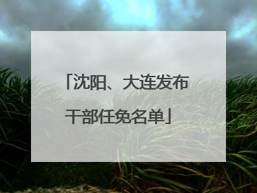 沈阳、大连发布干部任免名单