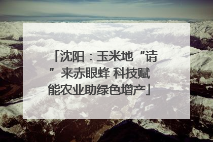 沈阳：玉米地“请”来赤眼蜂 科技赋能农业助绿色增产