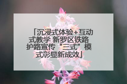 沉浸式体验+互动式教学 新罗区铁路护路宣传“三式”模式彰显新成效