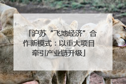 沪苏“飞地经济”合作新模式：以重大项目牵引产业链升级