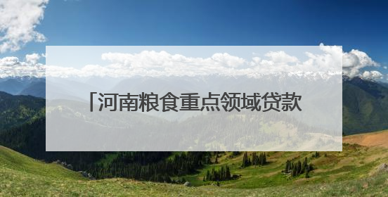 河南粮食重点领域贷款余额超2595亿元