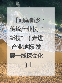 河南新乡：传统产业长“新枝”（走进产业地标·发展一线探变化）