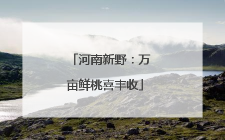 河南新野：万亩鲜桃喜丰收
