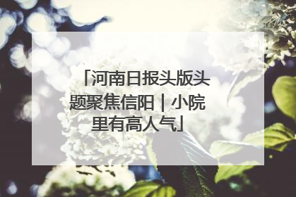 河南日报头版头题聚焦信阳｜小院里有高人气