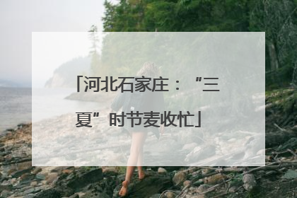 河北石家庄：“三夏”时节麦收忙