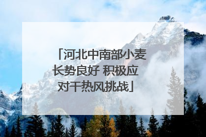 河北中南部小麦长势良好 积极应对干热风挑战