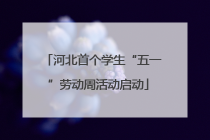 河北首个学生“五一”劳动周活动启动