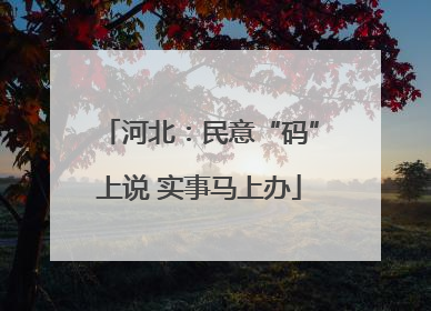 河北：民意“码”上说 实事马上办
