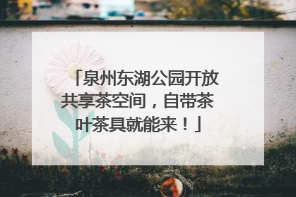 泉州东湖公园开放共享茶空间，自带茶叶茶具就能来！