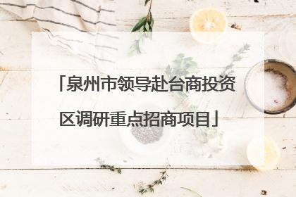 泉州市领导赴台商投资区调研重点招商项目