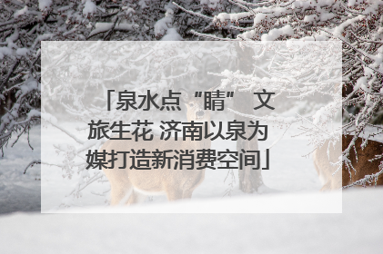 泉水点“睛” 文旅生花 济南以泉为媒打造新消费空间