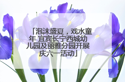 泡沫盛夏，戏水童年 宜宾长宁西城幼儿园及丽雅分园开展庆六一活动