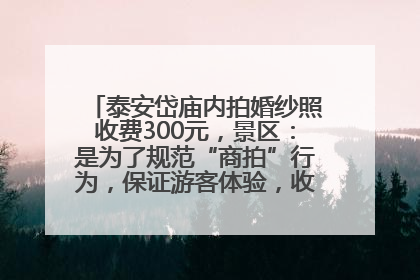泰安岱庙内拍婚纱照收费300元，景区：是为了规范“商拍”行为，保证游客体验，收取费用全部上交国库